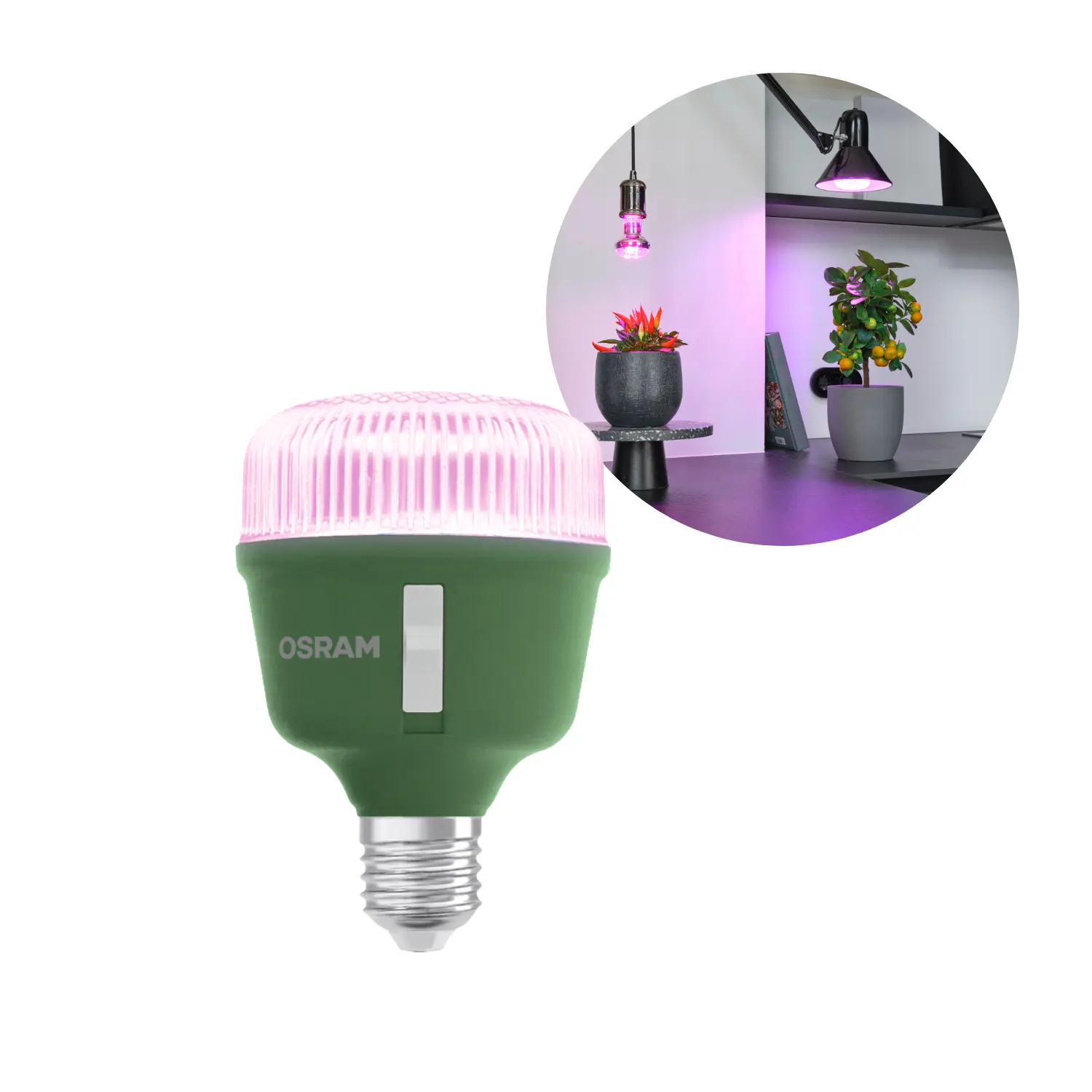 OSRAM Grolys-glödlampa | Tillväxtspektrum | E27 | 650 lm | 20 W