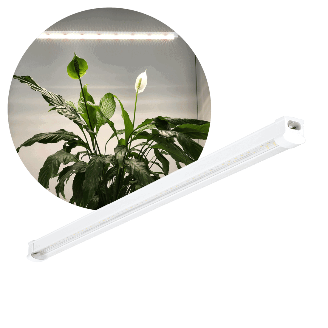 LED GROLYS ARMATUUR | GROEILAMP | 15W | 230V