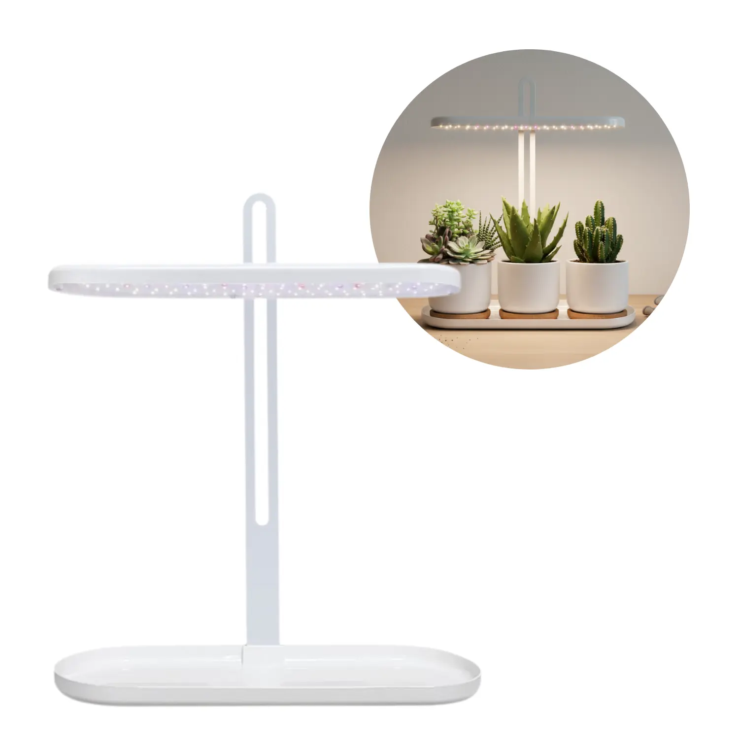 Kweeklampen voor Kruiden | 13.4 PPF | 12W | Instelbare Hoogte | Timer | BLOOM | Wit