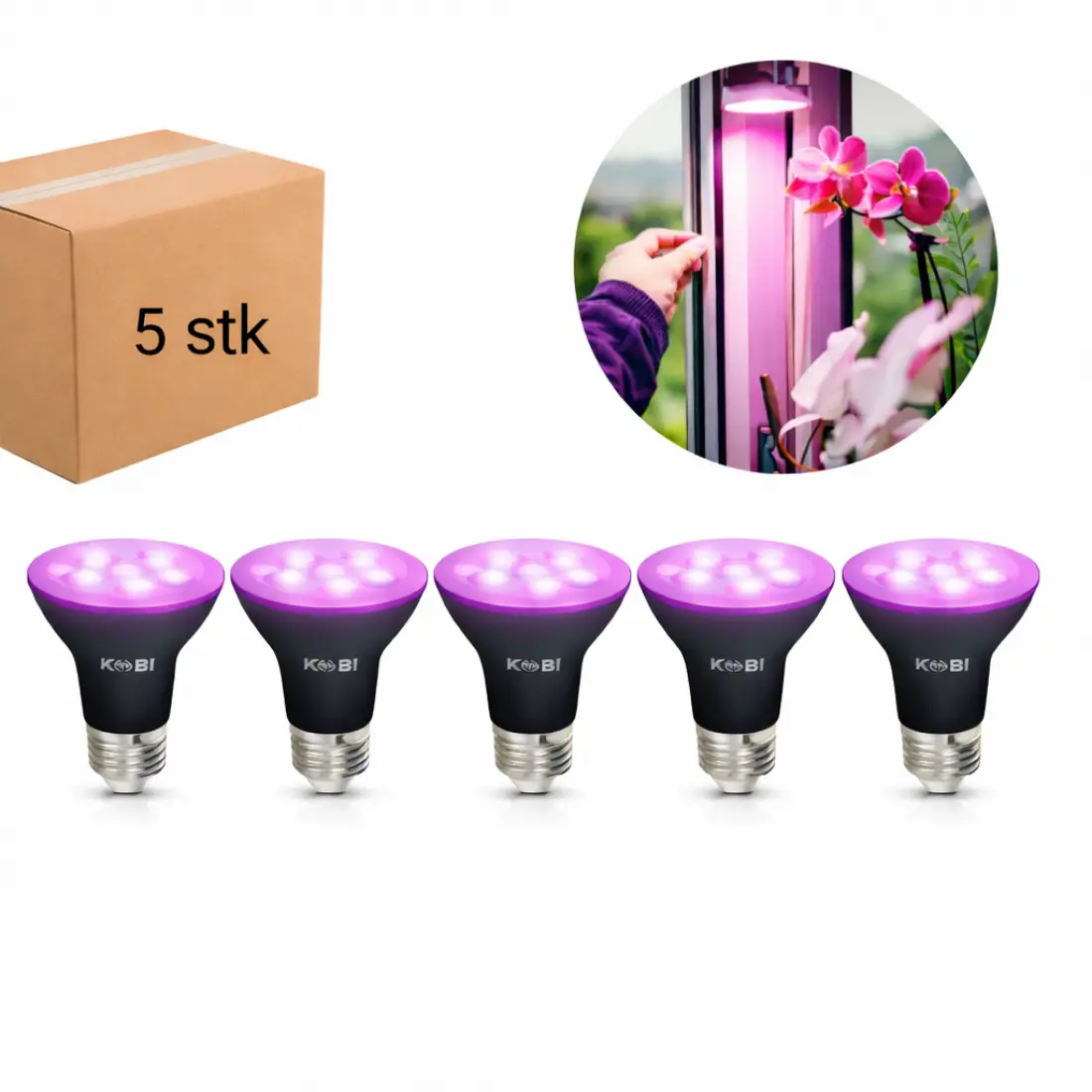 LED Grolys Lamp E27 | 5 st. | 7,4 PPF | 7W | PLANTY | Zwart