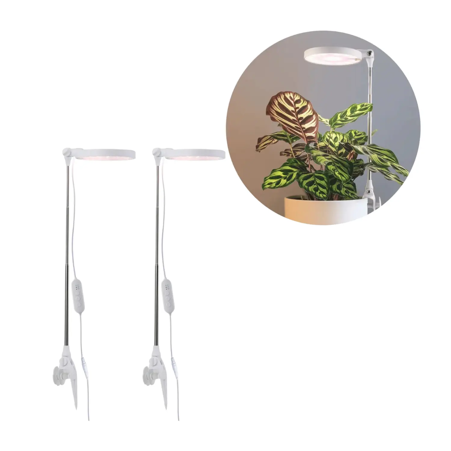 Plant Light Spike Lamp | 2-pack | 6 PPF | 10W | Justerbar höjd | USB-A | VERDI | Vit