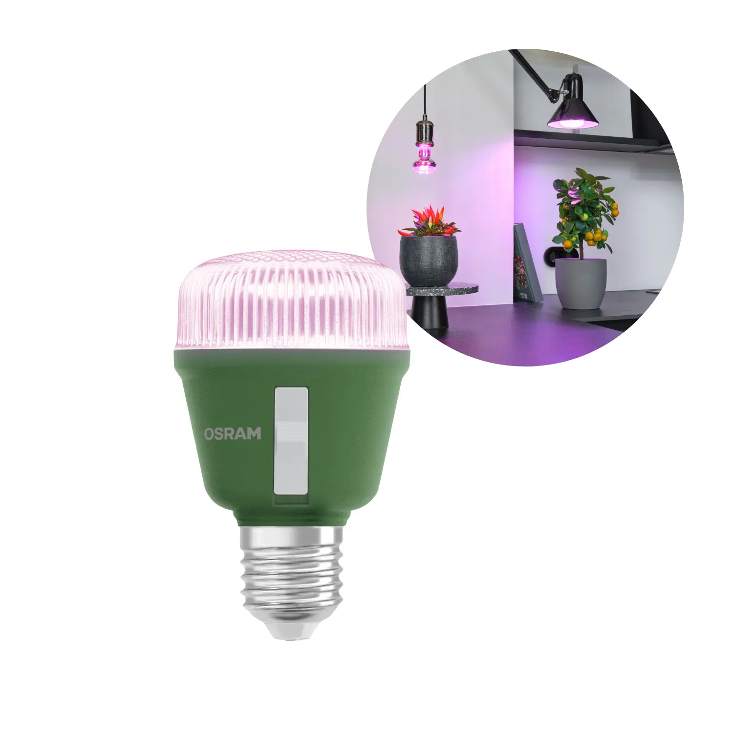 OSRAM Grolys-glödlampa | Tillväxtspektrum | E27 | 330 lm | 10 W