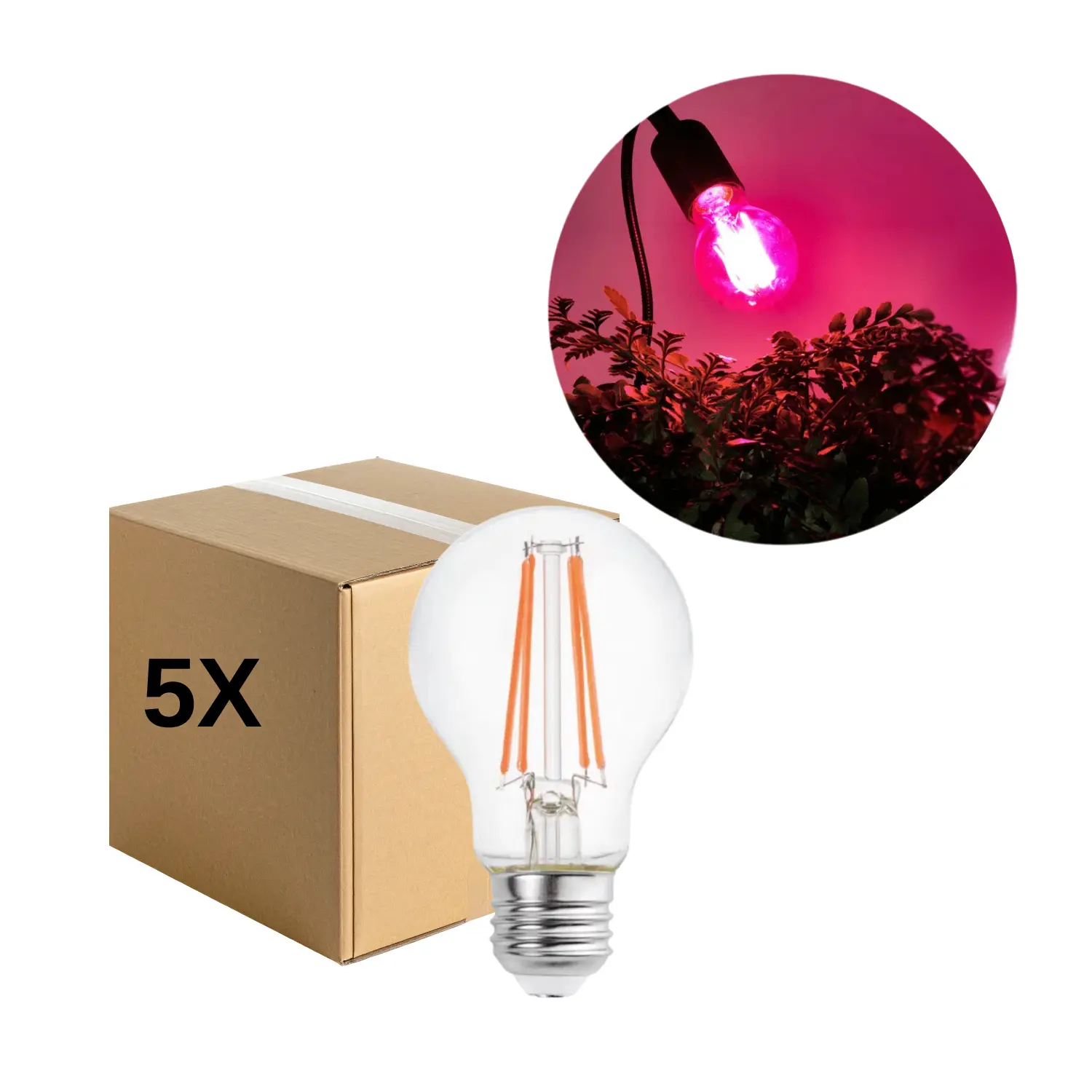 LED Grolys Glödlampa E27 | 5-pack | 10,98 PPF | 8W | PLANTY | Glas