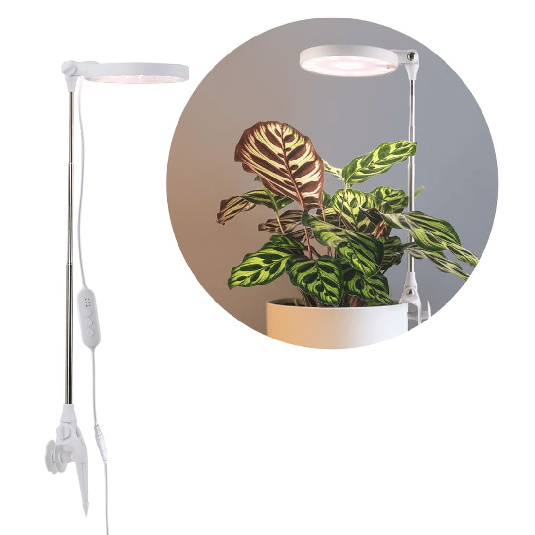 Grolys | 10W | Groeilamp | Verstelbare hoogte | Timer | Speer