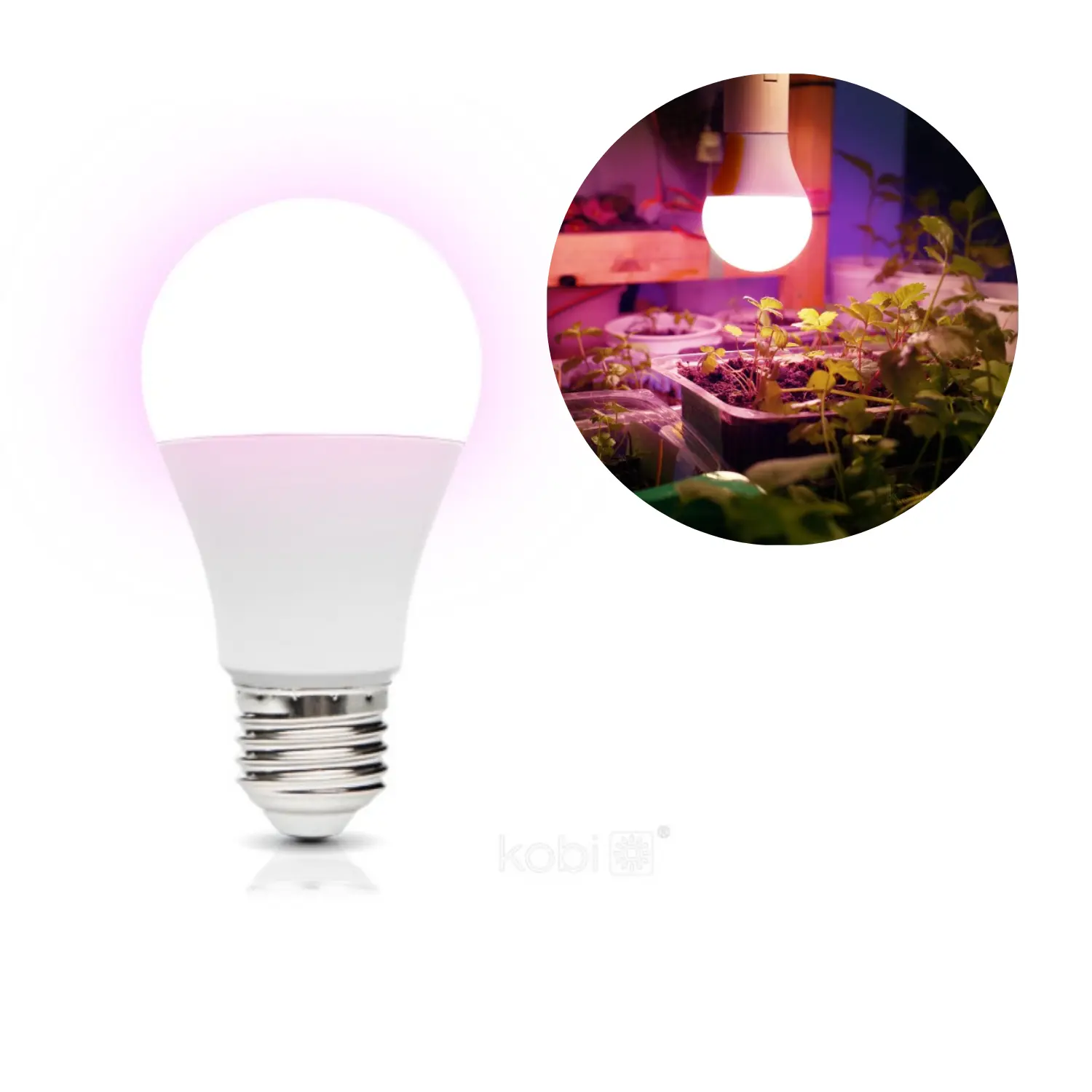 LED Groeilamp | E27 | 11W | 1200K | PPF | PLANTY