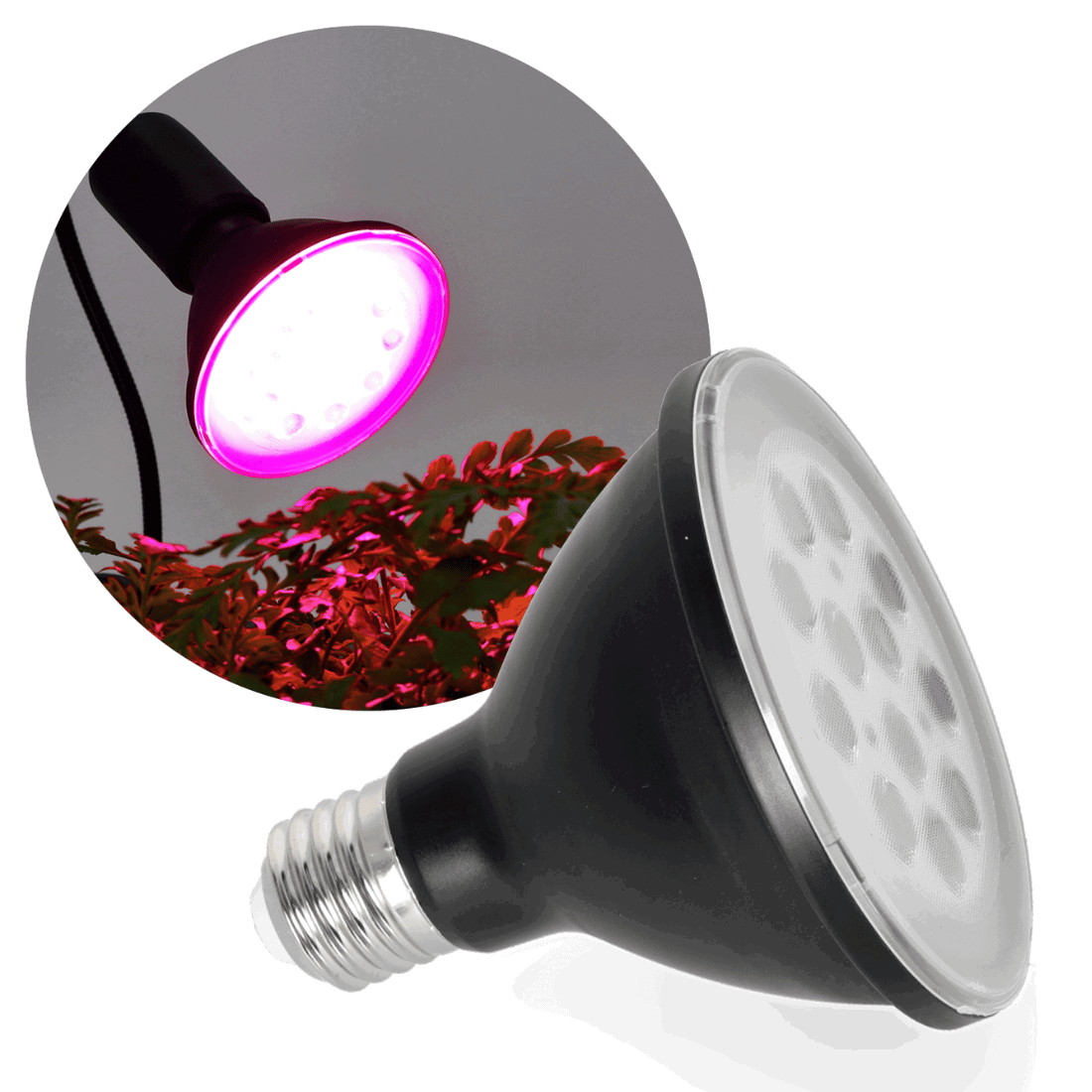 LED Groeilamp | Zwart | E27 | 9W | 1200 | 300lm