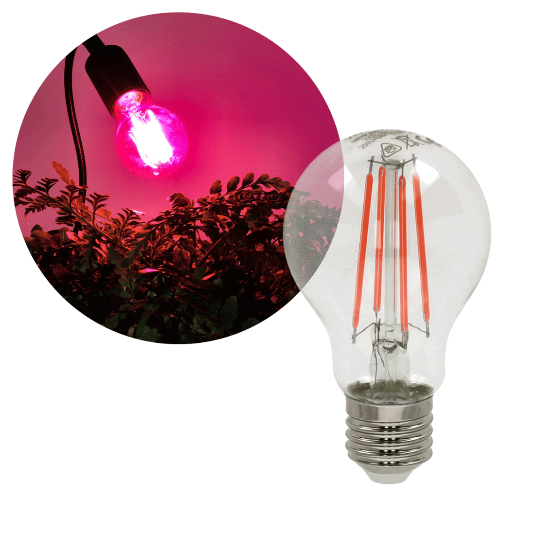 LED-lamp | 8W | E27 | 230V | Kweeklicht