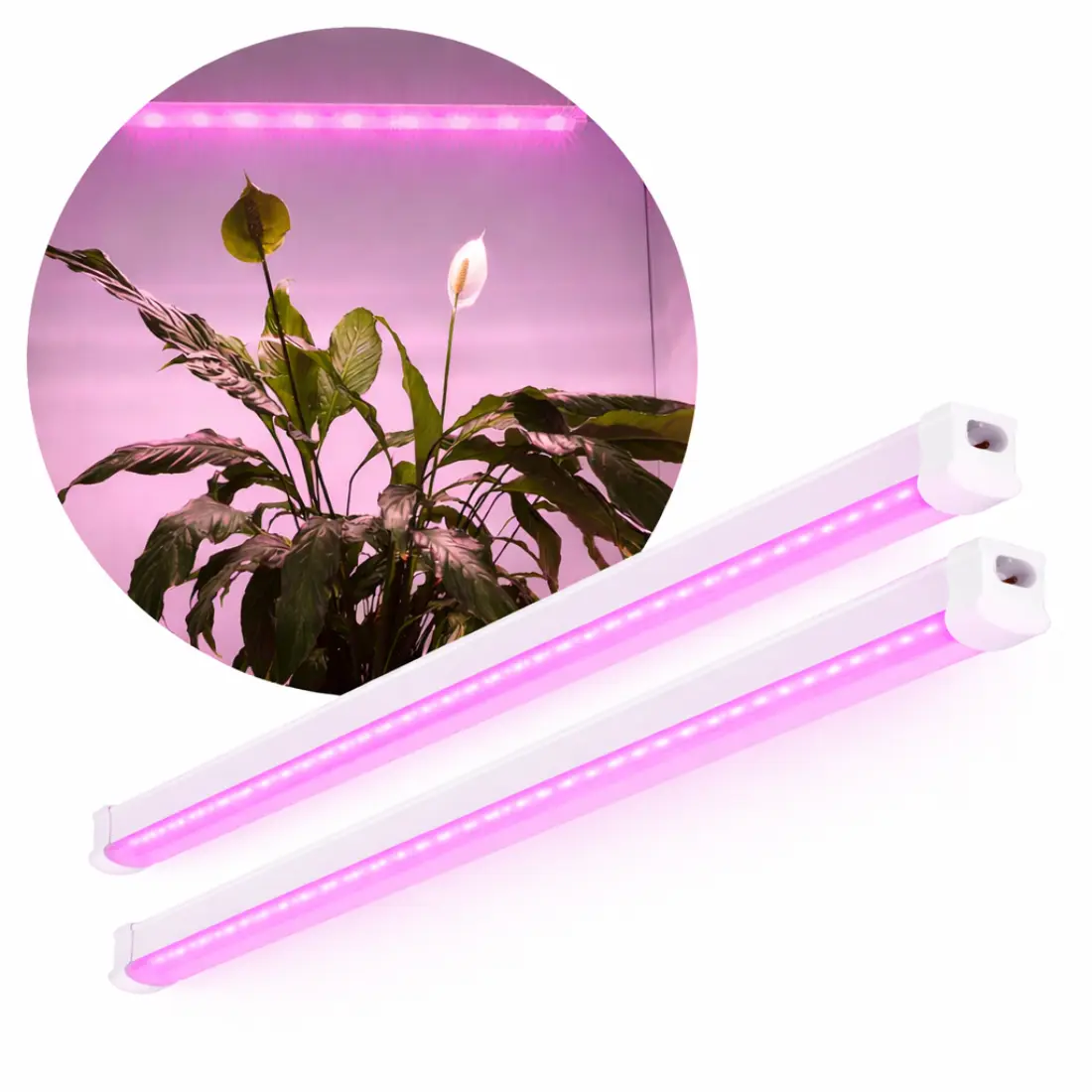 Grow Light Fixture 593mm | 2-pack | 14 PPF | 9W | Inkl. strömkabel | GROWLY | Vit