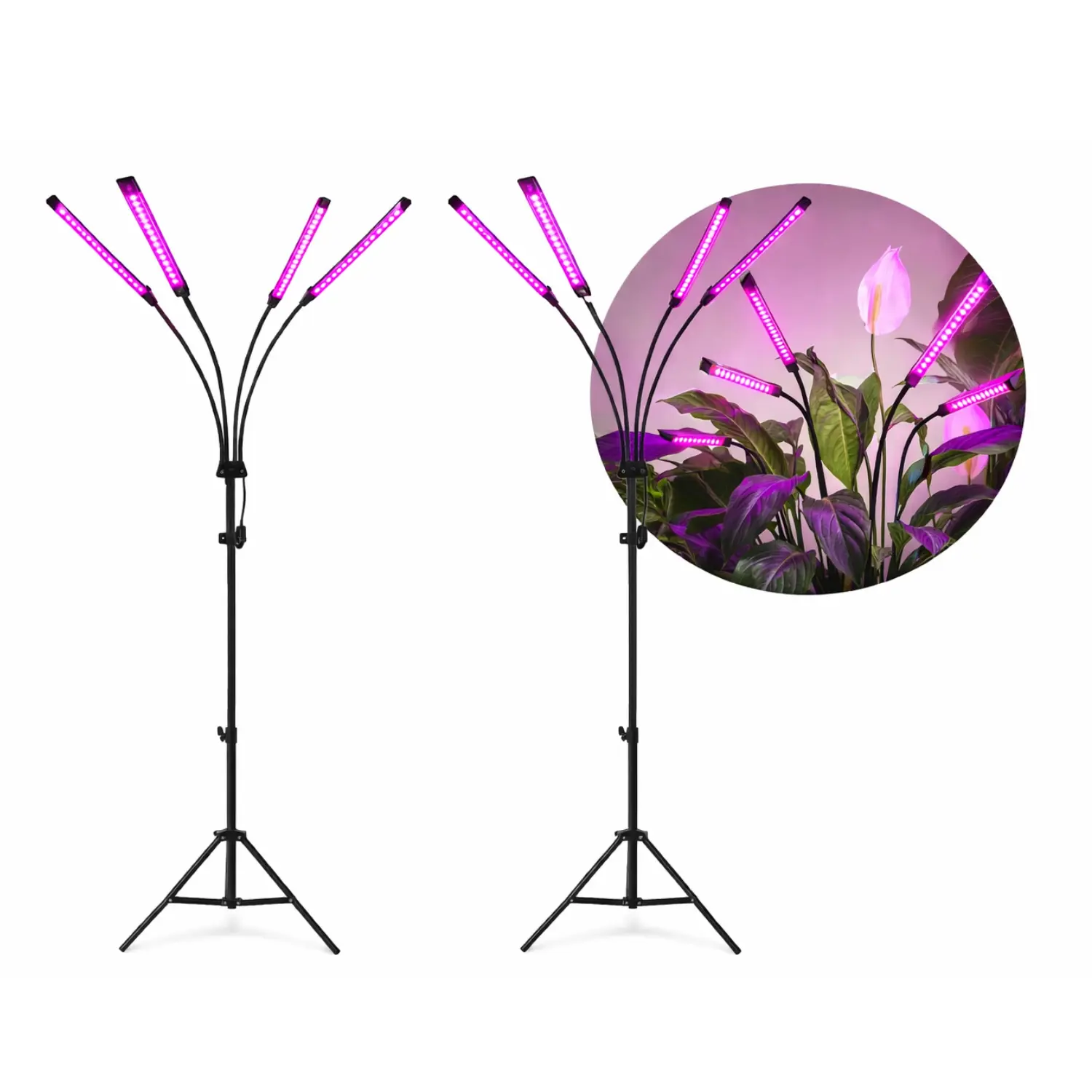 Växtlampa | 2-pack | 69 PPF | 30W | 4 ljuselement | VITARO 4ST | Svart