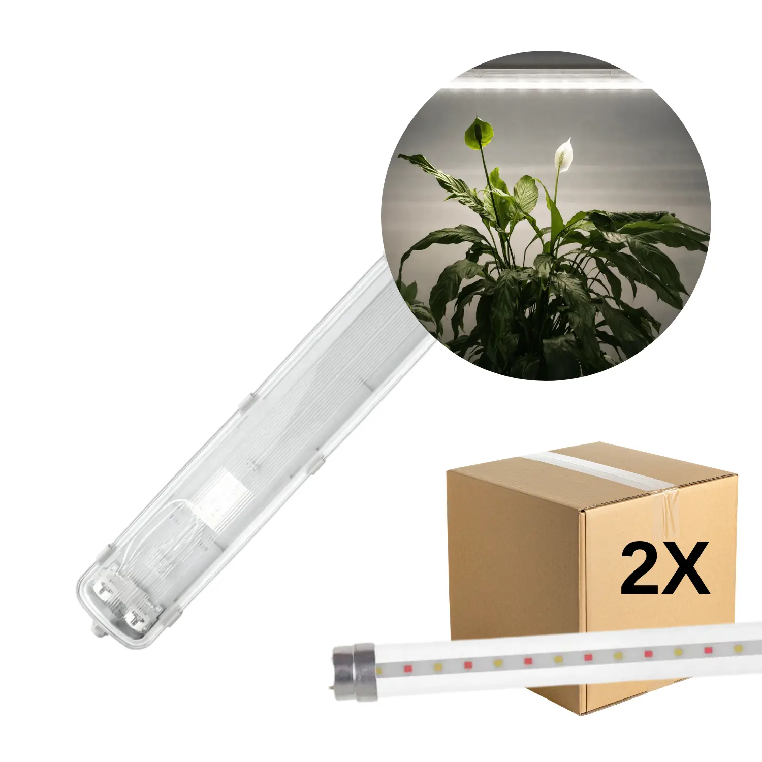 Odlingslampa 150cm | 27 PPF | 18,3W | IP65 | Inkl. 2 Osram Grolys-rör | FLUORA