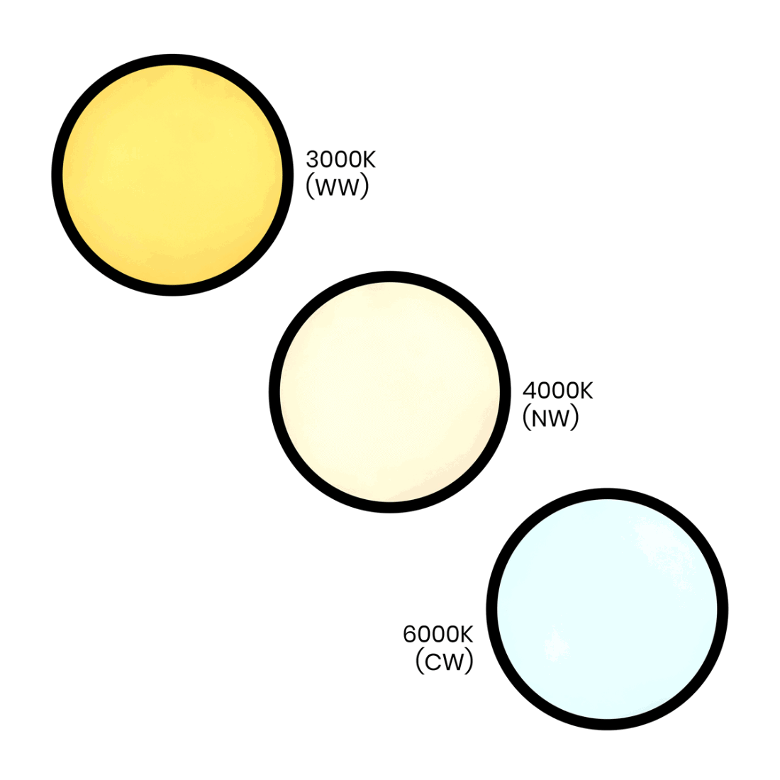 MAQ Taklampa | Slim | Ø500mm | CCT | 4300lm | 40W | Svart