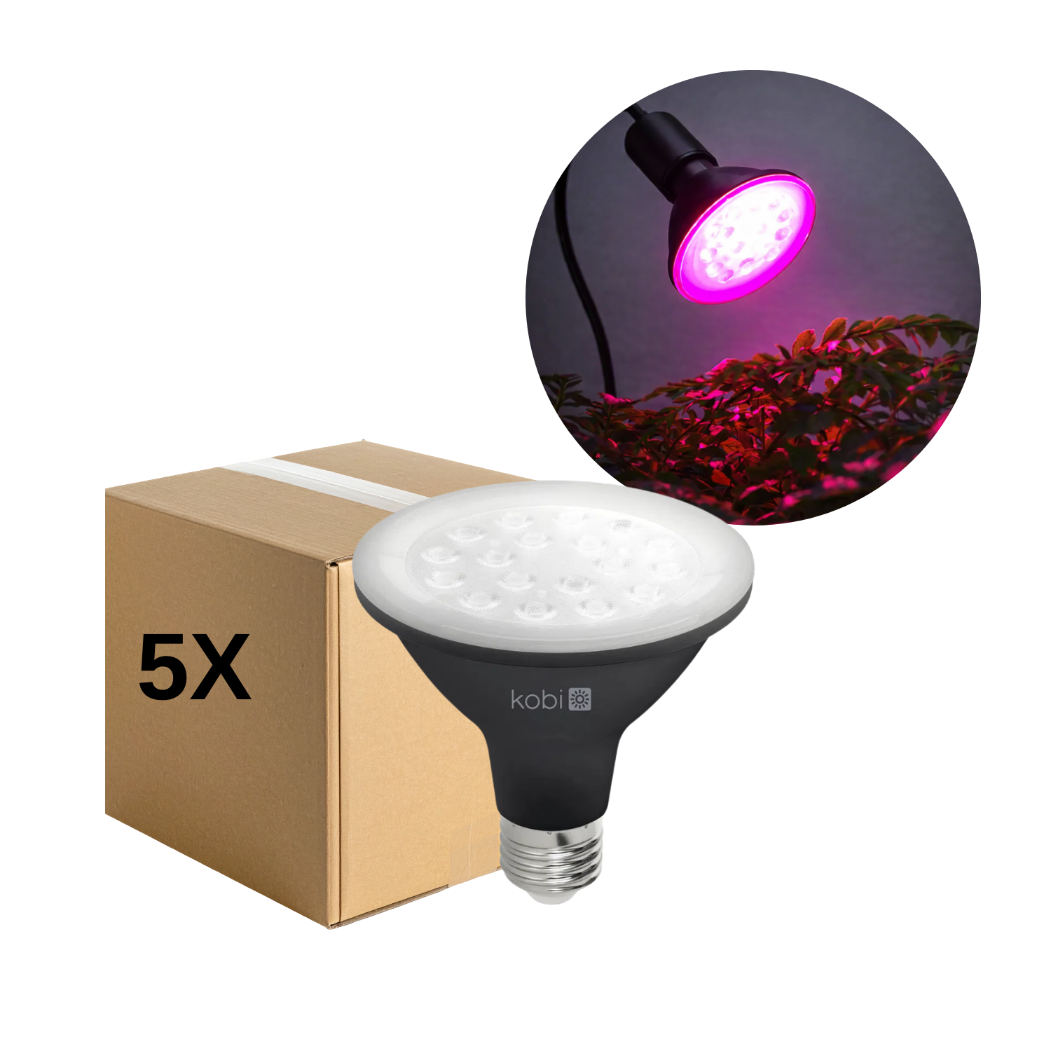 LED Grolys Glödlampa E27 | 5-pack | 10,5 PPF | 9W | PLANTY | Svart