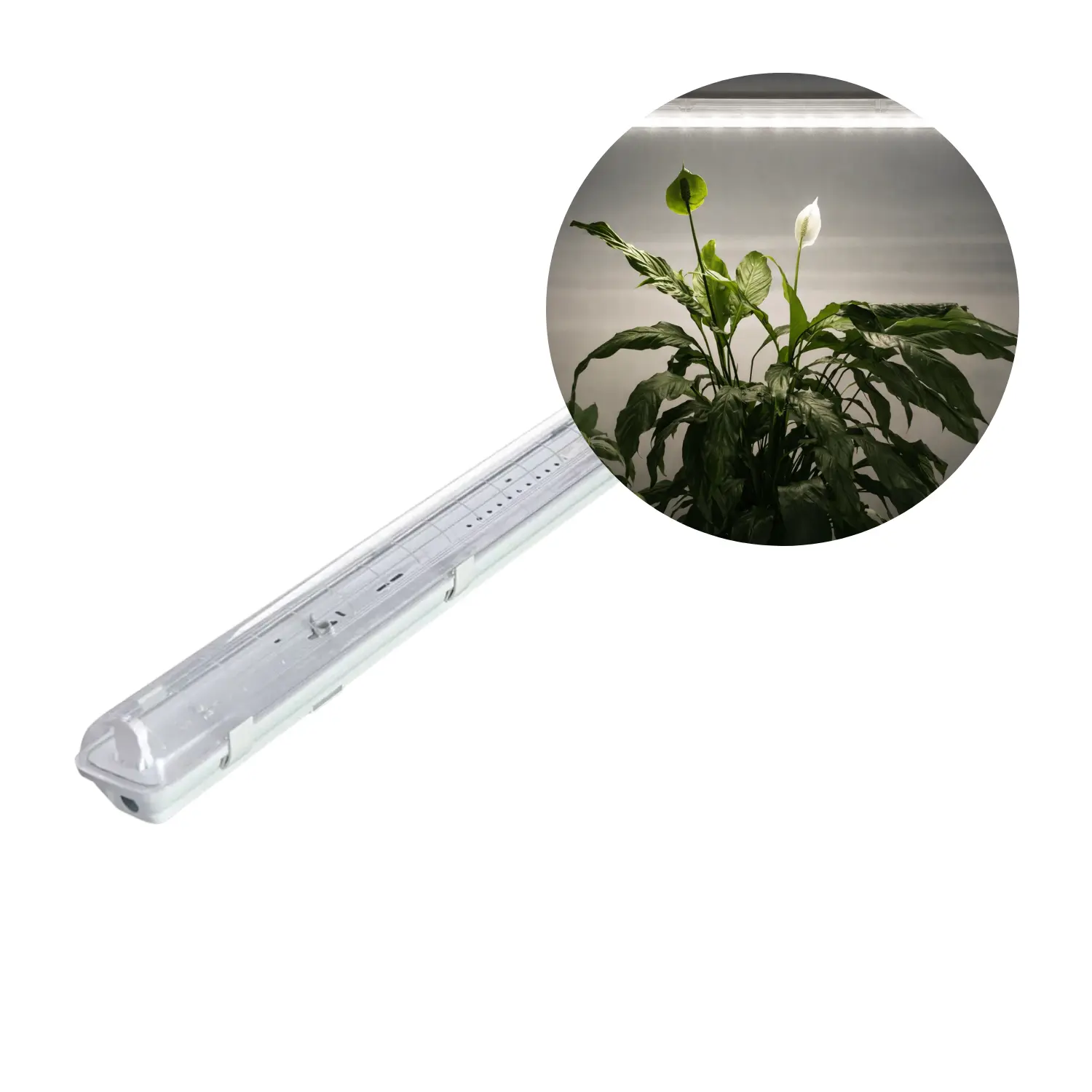 Odlingslampa 120cm | 21 PPF | 15W | IP20 | Inkl. Osram Grolys-rör | FLUORA