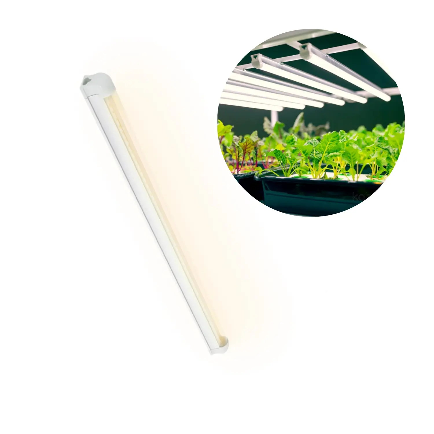 LED Groeilamp | 9W | 230V | Growly | PPL