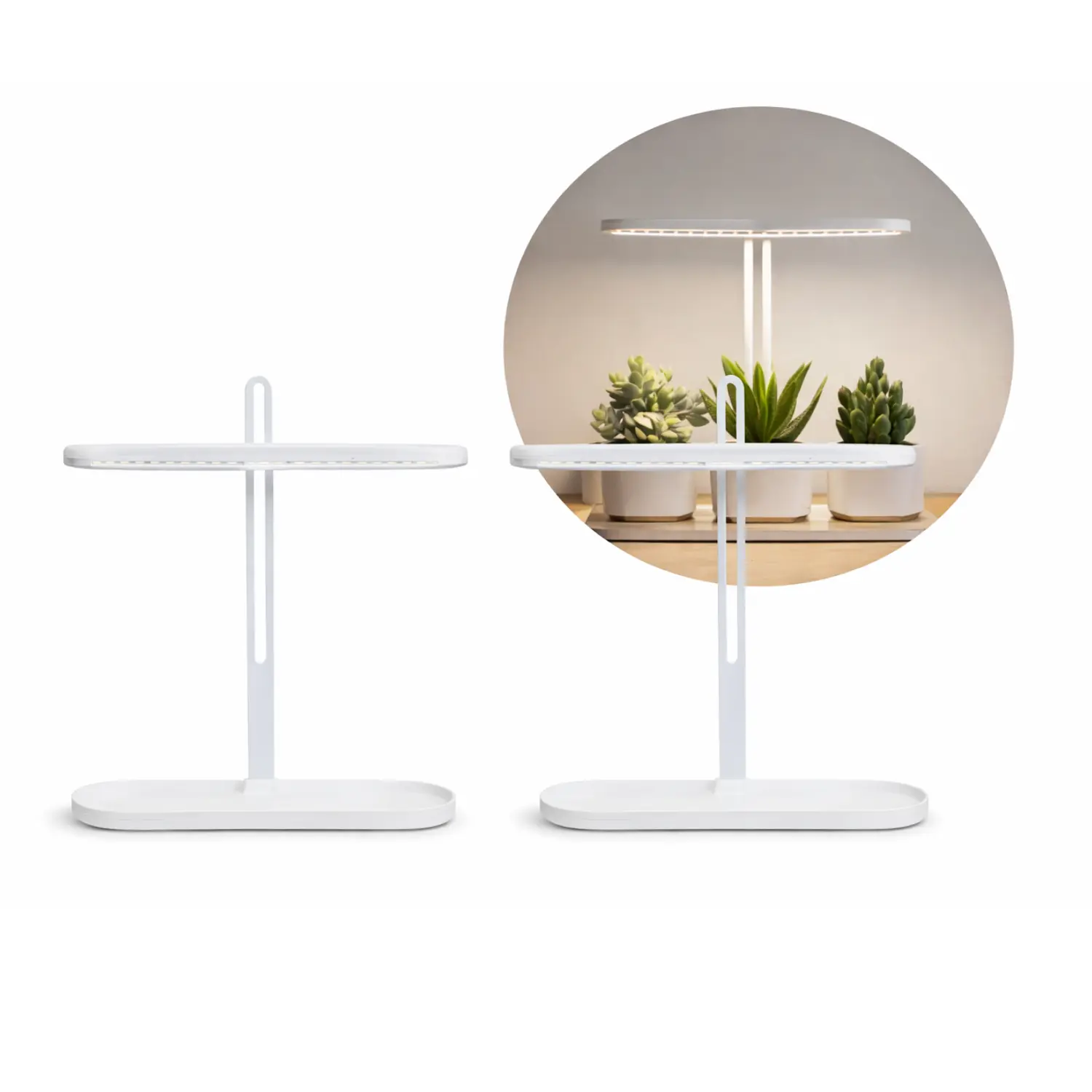 Odlingslampor för örter | 2-pack | 13,4 PPF | 12W | Justerbar höjd | Timer | BLOOM | Vit