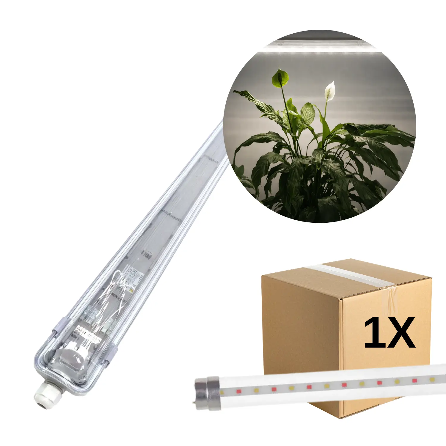 Odlingslampa 150cm | 27 PPF | 18,3W | IP65 | Inkl. Osram Grolys-rör | FLUORA